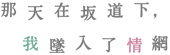 那天在坂道下，我墜入情網